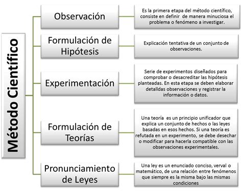 Fases Del Metodo Cientifico Cuadro Sinoptico Metodo Cientifico Images