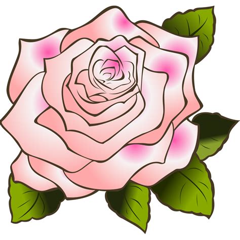 Pink Rose Png Svg Clip Art For Web Download Clip Art Png Icon Arts