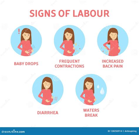 Labour And Birth Brochure Template Cartoon Vector