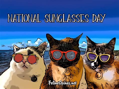 June 27th National Sunglasses Day Home Felineopines