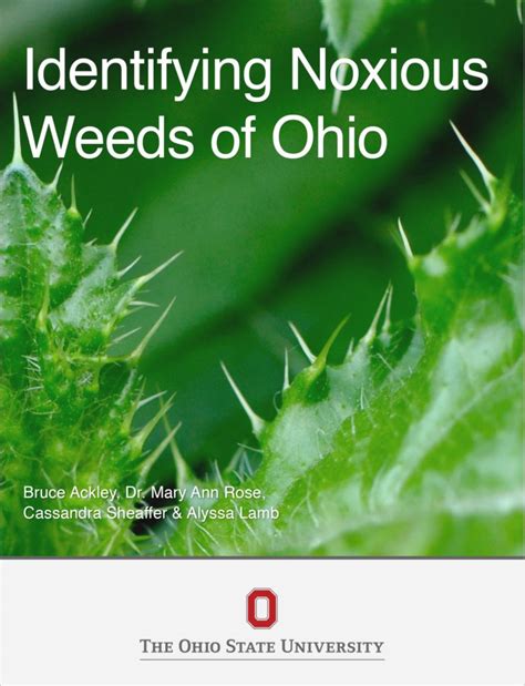 Identifying Noxious Weeds Of Ohio Open Textbook