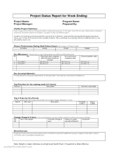 Executive Summary Project Status Report Template 6 Professional