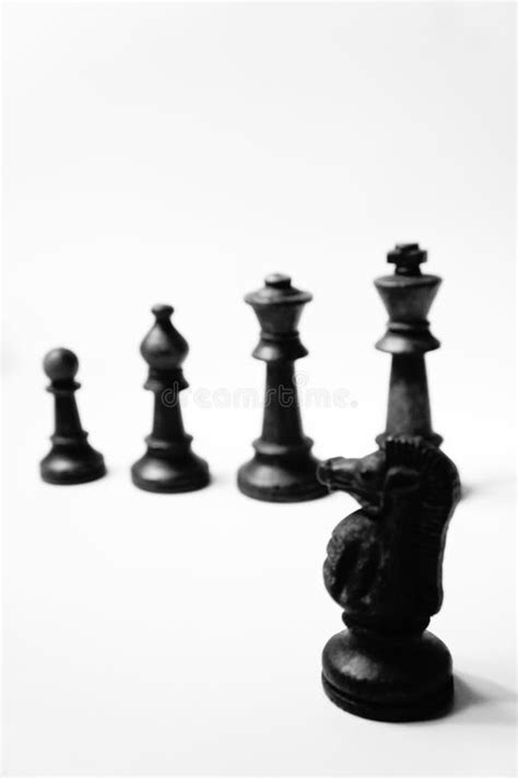 Chess Pawn King Queen Bishop Knight Rook Stock Image Image Of