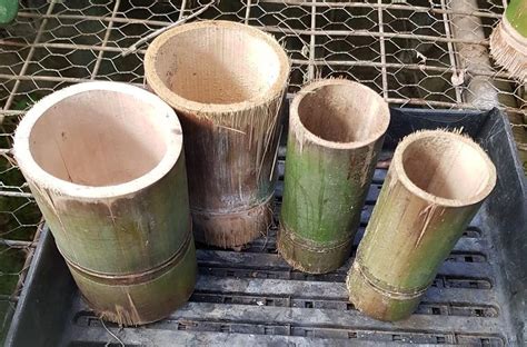If i research and find the right bamboo that isn't so invasive, will. Bamboo Pots | Rare Plants