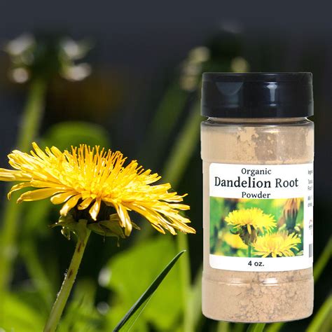 Organic Dandelion Root Powder 4 Oz Herbal Remedies And Edibles