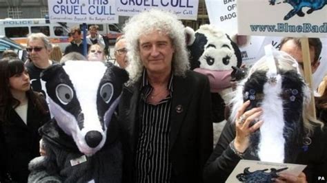 Badger Cull To Be Extended Into Dorset Government Announces Bbc News
