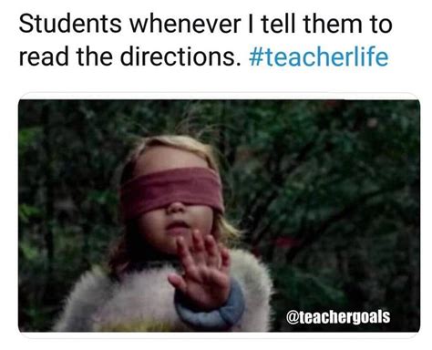 23 hilarious bird box memes that are probably better than the movie teacher memes funny
