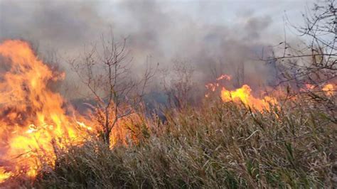 Reporte Oficial Por Los Incendios En Argentina Tres Provincias