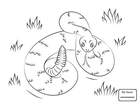358 x 512 jpeg 42 кб. Rattlesnakes Drawing at GetDrawings | Free download