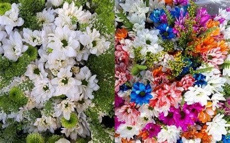 Send online flowers to india bloom n bud offers same day delivery for beautiful range of flowers and flowers bouquets. A bouquet of Modis! On historic visit, Israel names flower ...