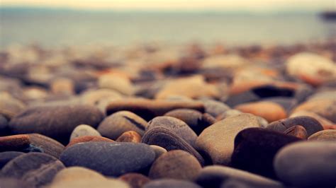Wallpaper Sea Rock Sand Stones Beach Wood Morning Blurred