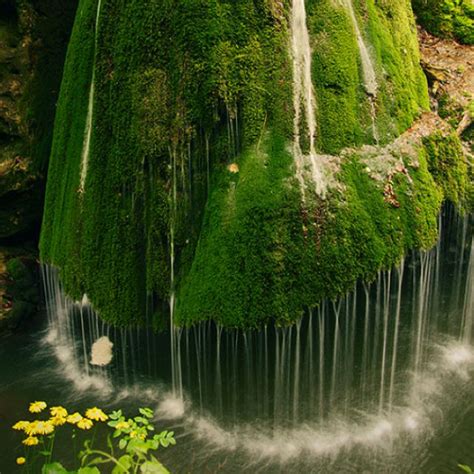 Bigar Waterfall Romania Beautiful Waterfalls Waterfall Wonders