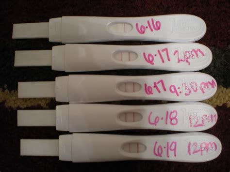 window fertility lh test surge strips pregnant conceive