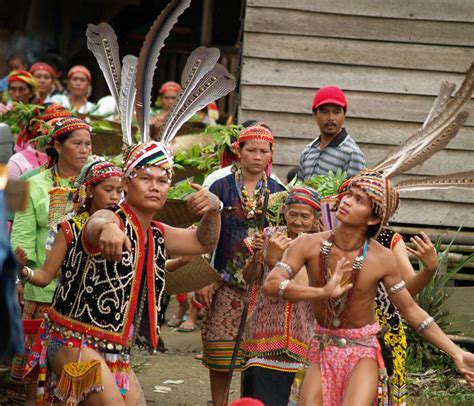 Wajah Borneo Seni And Budaya Kalimantan