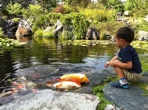 Make sure that the liner reaches onto the ridge.10 x research source. Aquascape Your Landscape: The Magic of Kid-Friendly Ponds