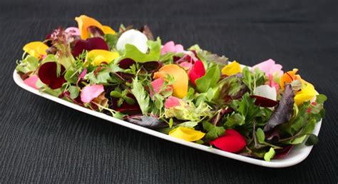 You might be surprised to find that you can freeze most foods much longer than you imagined without a loss in quality. Edible Flowers: Part Two - Eat The Weeds and other things, too