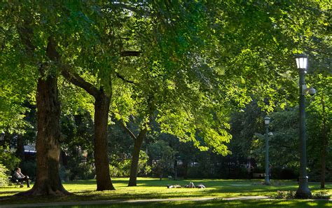 No groups larger than ten people are allowed, except for families or people living in the same household. The top 5 hidden parks and gardens in Toronto