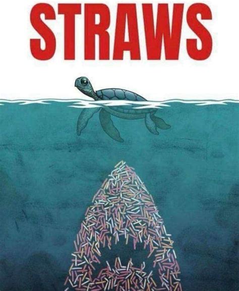 🚫 Say No To Plastic Straws 🚫 Funny Animal Photos Environmental Art
