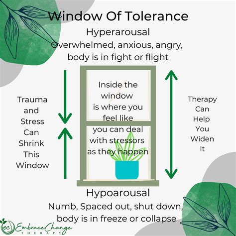 The Window Of Tolerance Embrace Change Therapy