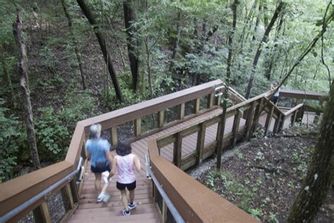 Visit Alachua Countys State Parks Trails And Historic Sites Visit