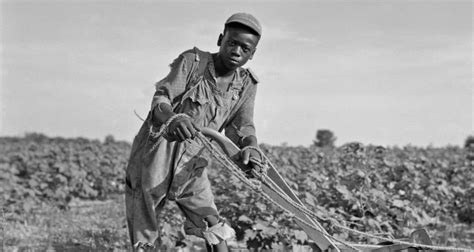 Black Slavery The Displacement Of Black Farmers Doc Now Showing