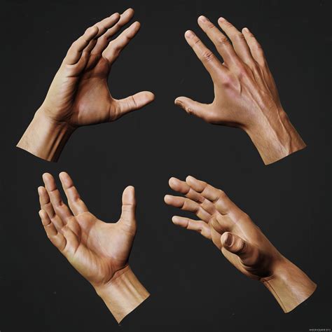 Hand Anatomy Study Andor Kollar Character Artist