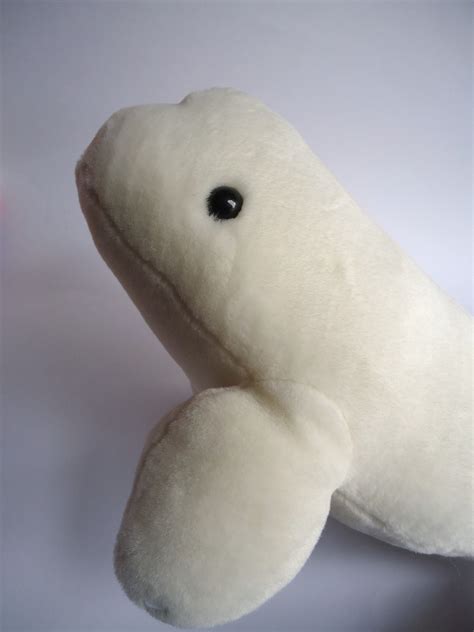 Beluga Whale Stuffed Animal Beluga Whale Stuffed Animal Plush Super