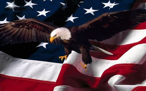 American Eagle Logo Wallpaper Images