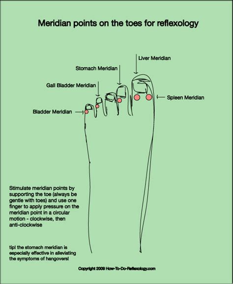 Reflexology Charts For Top Side Bottom Of Foot Learn Reflexology Foot Maps So Easy You Can