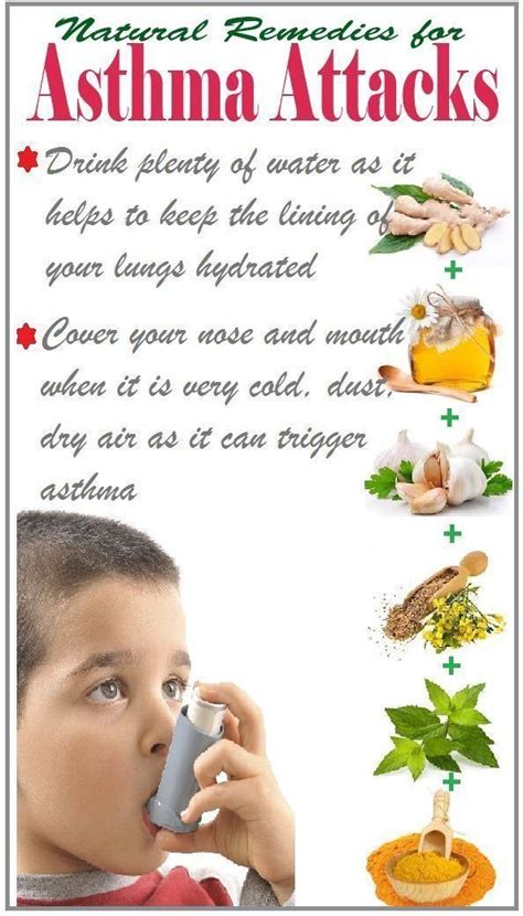 Pin By Pamela Bell English On Asthma Causes And Solutions Natural Asthma Remedies Home