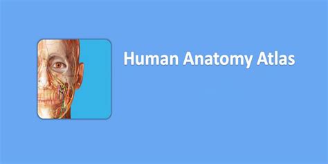 Human Anatomy Atlas 2021 Apk Obb 2021226 Download Sociallykeeda