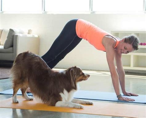 All You Need To Know About The Trending Dog Yoga Herzindagi