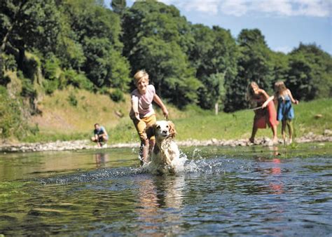 Are you looking for a new furry friend? Pet Friendly Lodges with Hot Tubs. Read about our Top 5 ...