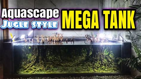 Aquascape mini menggunakan aquarium kecil. #202 Membuat Aquascape outdoor tema hutan tropis indonesia ...