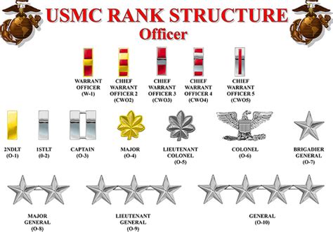 Rairingcatle Marine Corps Rank Structure