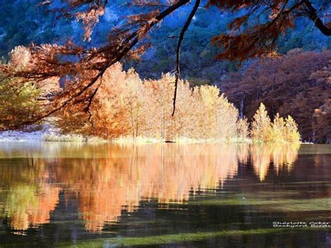 8 Best Texas Parks To Visit For Fall Foliage In 2021 With Photos