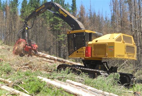 Sunchip Group Forestry Operations Tigercat Between The Branches