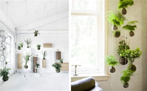 Las plantas dan un toque especial a la decoración de tu casa. DECORACIÓN DE CASA U OFICINA: DECORACION CON PLANTAS