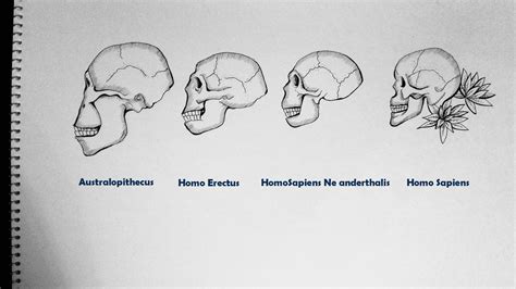 Human Evolution Drawing at PaintingValley.com | Explore collection of