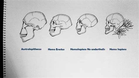 Human Evolution Drawing At Explore Collection Of