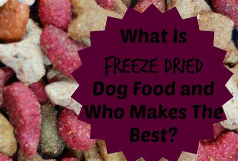 Most puppies are ready to leave their mother at 8 weeks of age. What Is Freeze Dried Dog Food and Who Makes The Best?