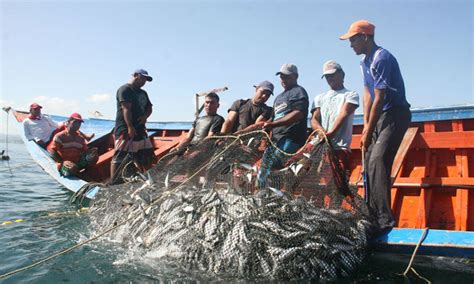 Comisión Nacional De Acuacultura Y Pesca Festeja 19 Años En Un Mar De