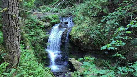 Covel Creek Falls And Angel Falls Trail Washington Alltrails