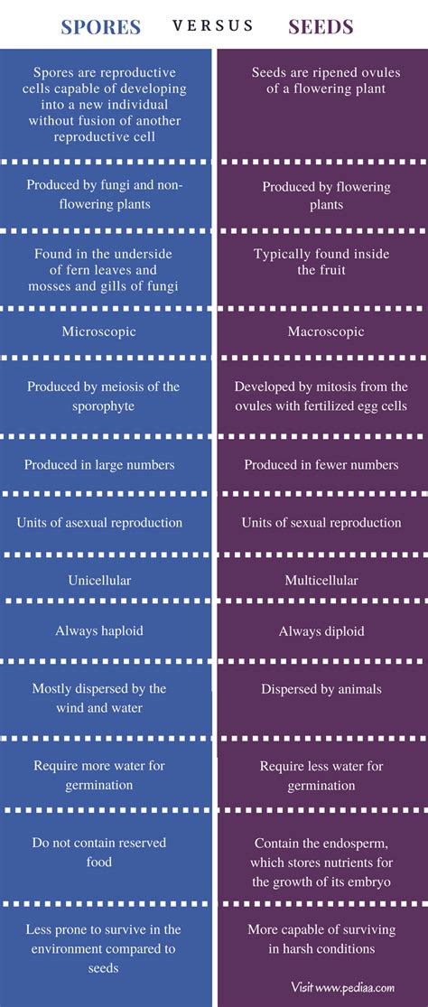 Each of these special types of cells has a different structure that. Difference Between Spores and Seeds | Definition ...