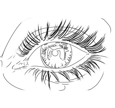 A Drawing Of An Eye With Long Lashes And The Iris Partially Closed To