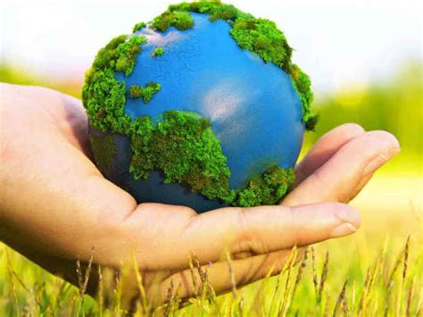 World Environment Day 2018 Are We Doing Enough To Conserve Nature