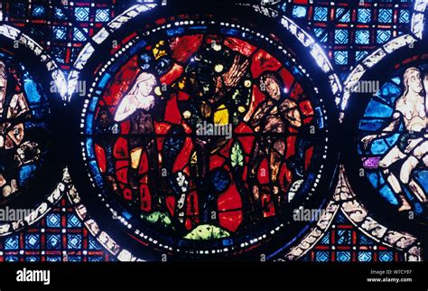 Adam And Eve The Fall Of Man Stained Glass Chartres Cathedral