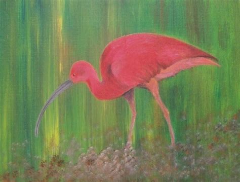 De voorbije 30 jaar waren er maar vier slechtere beursdagen op te tekenen voor colruyt. Peinture Ibis
