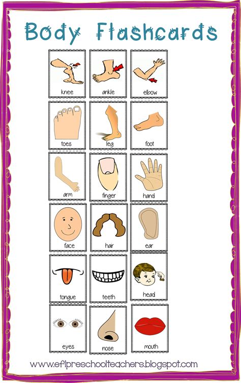 Body Parts Flashcards Printable Free Printable Templates