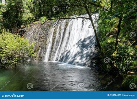 Forest River Waterfall On Springtime Stock Image Image Of Foliage